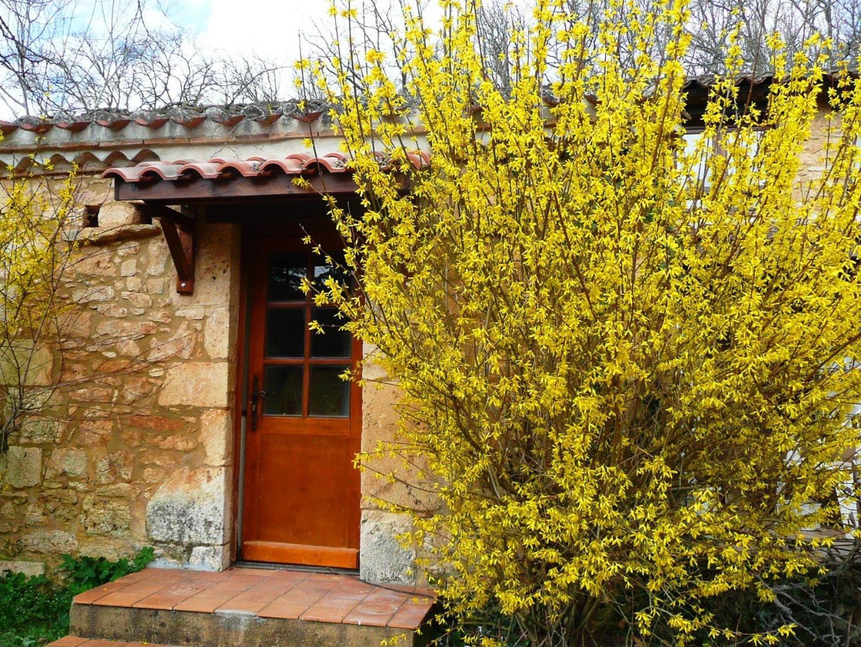 Domaine De Gavaudunヴィラ 部屋 写真